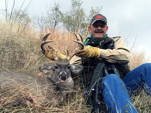 coues-deer